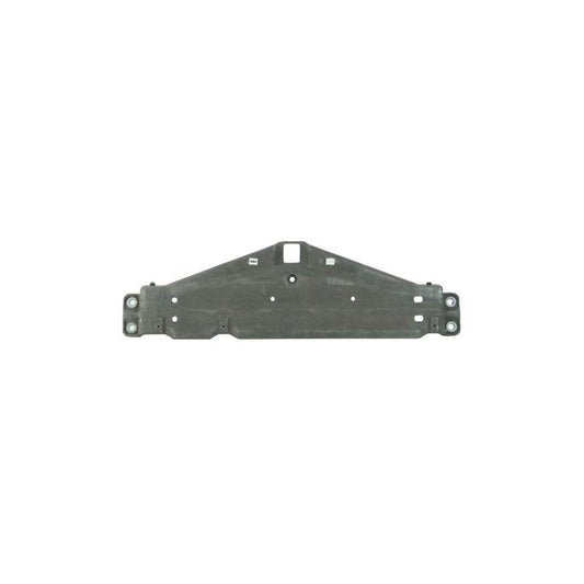 Blic 6509-01-5507924P Bumper Cover, Towing Device For Peugeot 206+ Hatchback (2L, 2M)