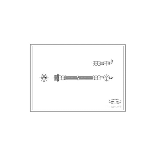Corteco 19031872 Brake Hose | ML Performance UK