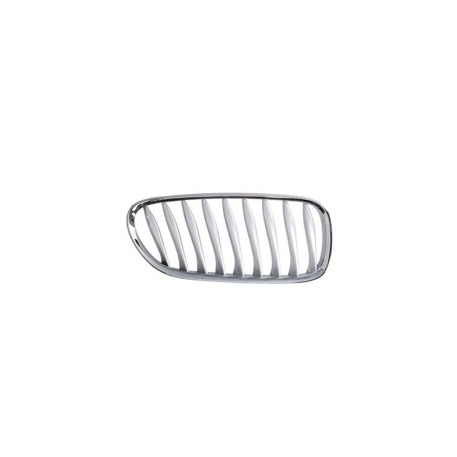 Blic 6502-07-0089994P Radiator Grille For BMW Z4