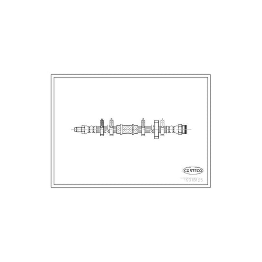 Corteco 19018125 Brake Hose | ML Performance UK