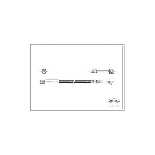 Corteco 19031681 Brake Hose | ML Performance UK