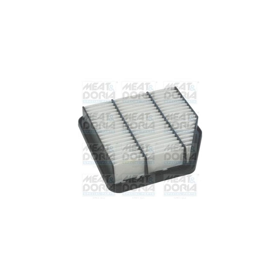 MEAT & DORIA 18349 Air Filter | ML Performance UK Car Parts