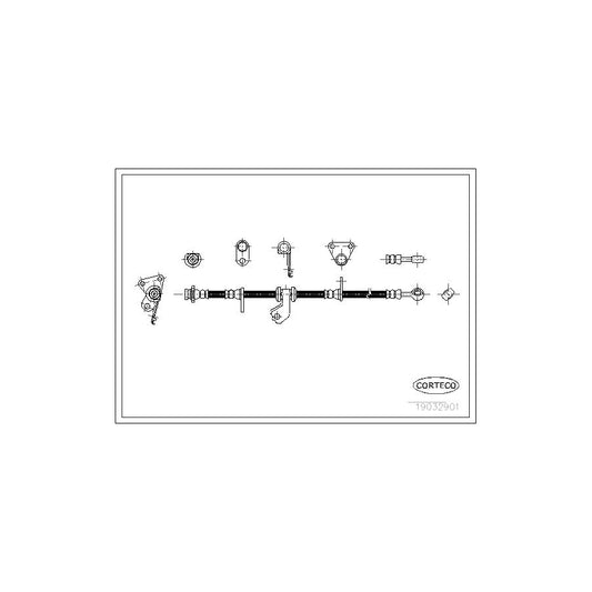 Corteco 19032901 Brake Hose | ML Performance UK