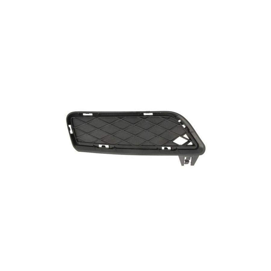 Blic 6502-07-0093915P Bumper Grill For BMW X3 (F25)