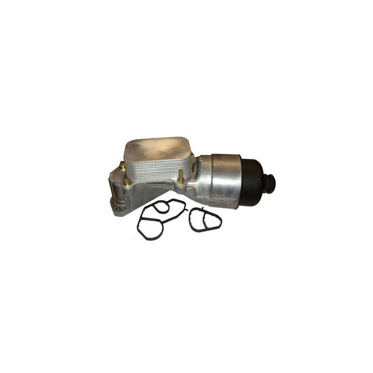 Bugiad BSP24943 Oil Filter Housing