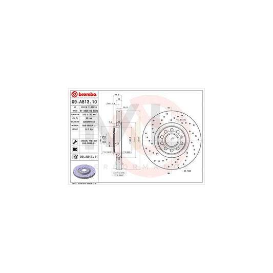 BREMBO 09.A813.10 Brake Disc for AUDI A4 Perforated / Vented, High-carbon, with bolts/screws | ML Performance Car Parts
