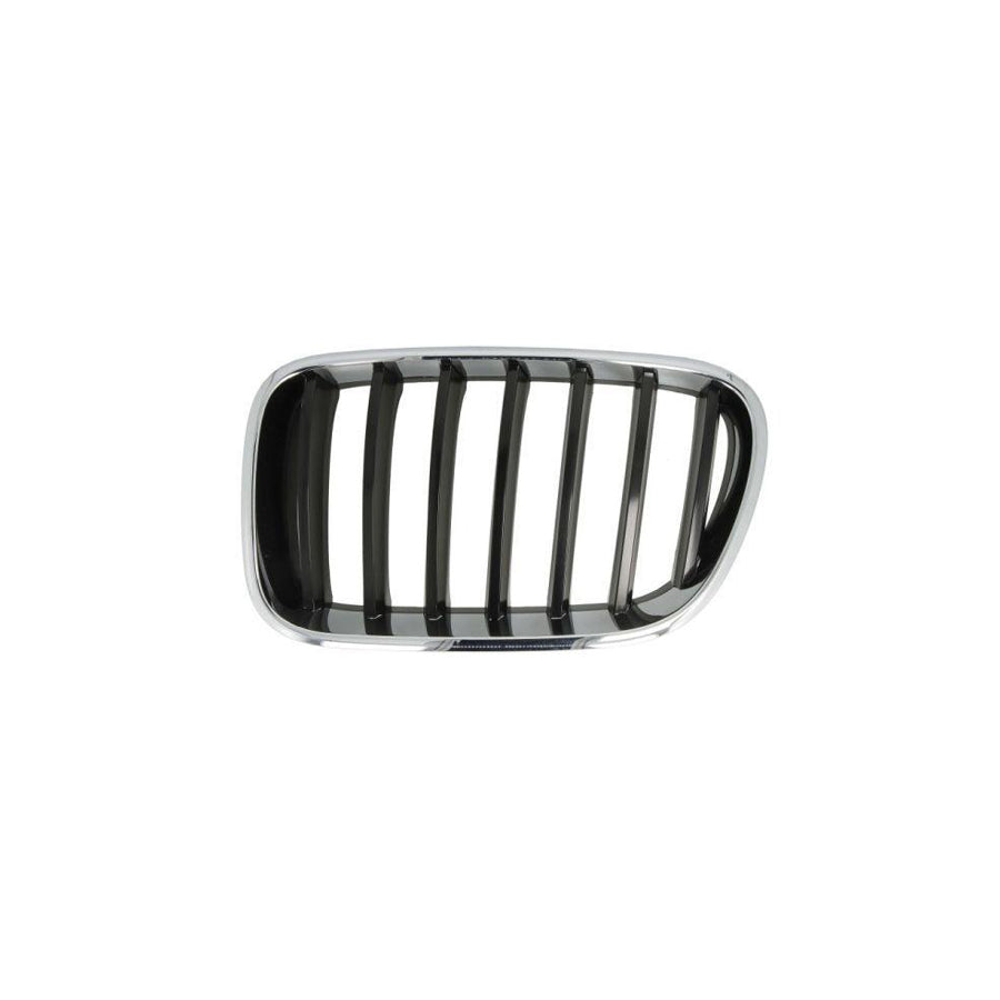 Blic 6502-07-00939970P Radiator Grille For BMW X3 (F25)