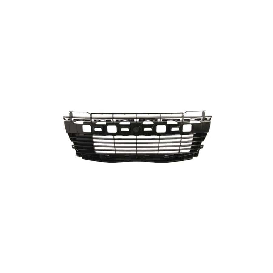 Blic 6502-07-5507910P Bumper Grill For Peugeot 206+ Hatchback (2L, 2M)