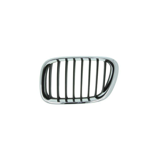Blic 6502-07-0095993P Radiator Grille For BMW X5 (E53)
