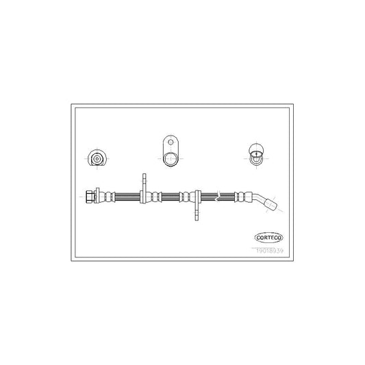 Corteco 19018939 Brake Hose | ML Performance UK