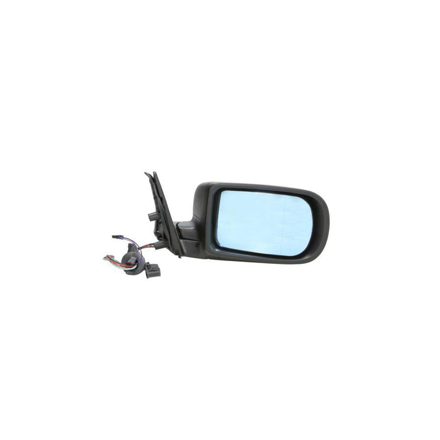 Blic 5402-04-1121823P Wing Mirror For BMW 5 Series