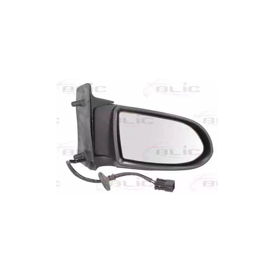 Blic 5402-04-2002042P Wing Mirror For Opel Zafira A (T98)