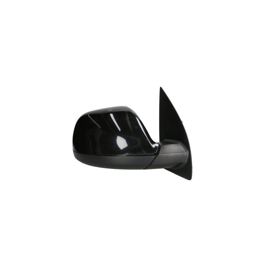 Blic 5402-01-2002560P Wing Mirror