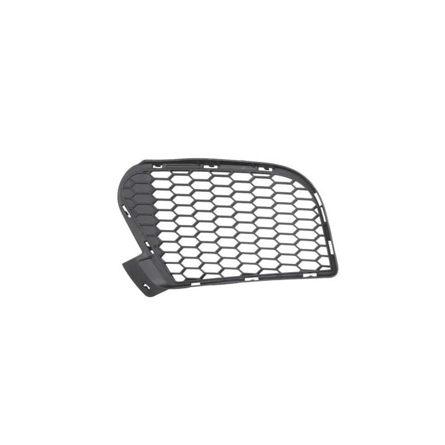 Blic 6502-07-0096913P Bumper Grill