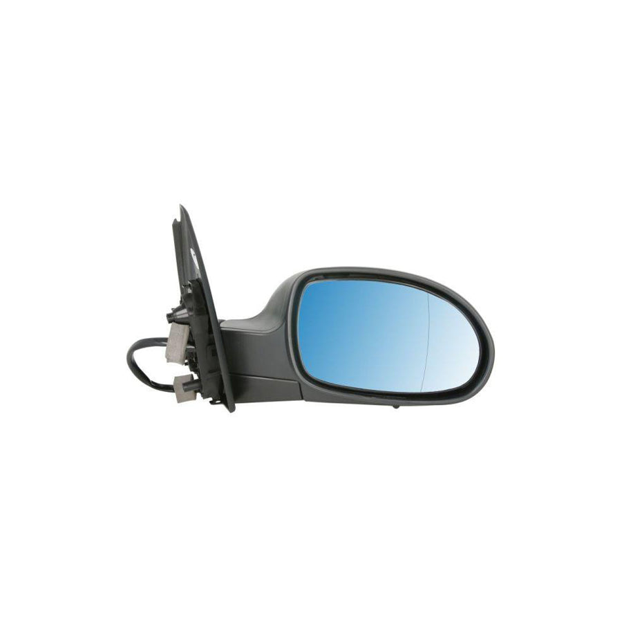 Blic 5402-04-1121852P Wing Mirror For Citroen C5