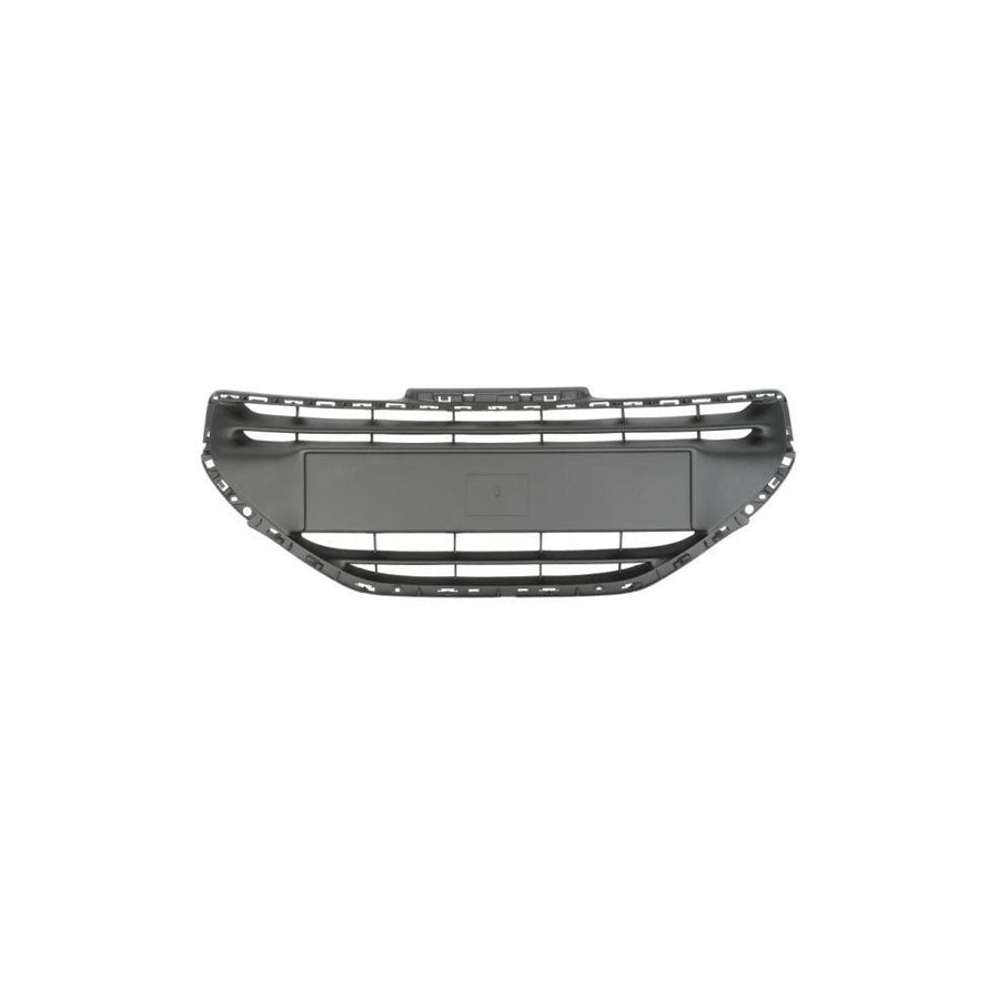 Blic 6502-07-5509991P Radiator Grille For Peugeot 208