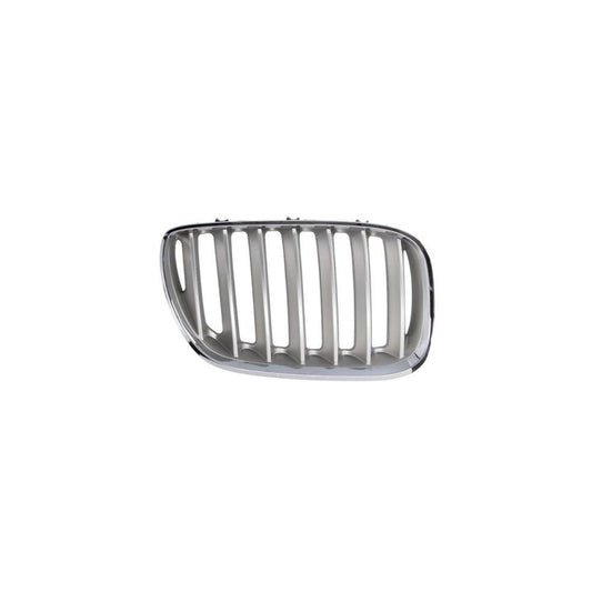 Blic 6502-07-0095998P Radiator Grille For BMW X5 (E53)