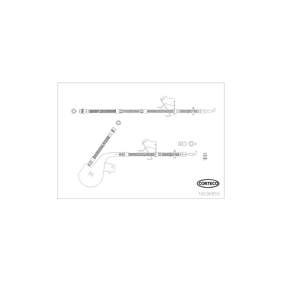 Corteco 19036855 Brake Hose | ML Performance UK