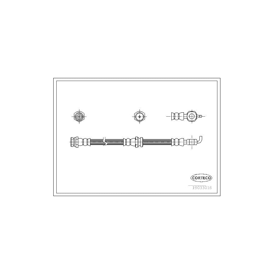 Corteco 19033016 Brake Hose | ML Performance UK