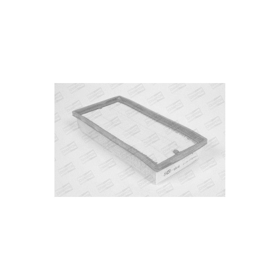 Champion U816/606 Air Filter