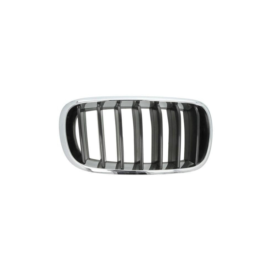 Blic 6502-07-00969922P Radiator Grille