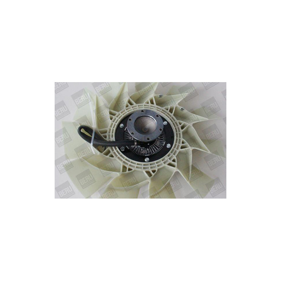 Beru LKK054 Fan, Radiator