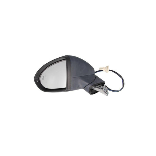 Blic 5402-01-2002618P Wing Mirror