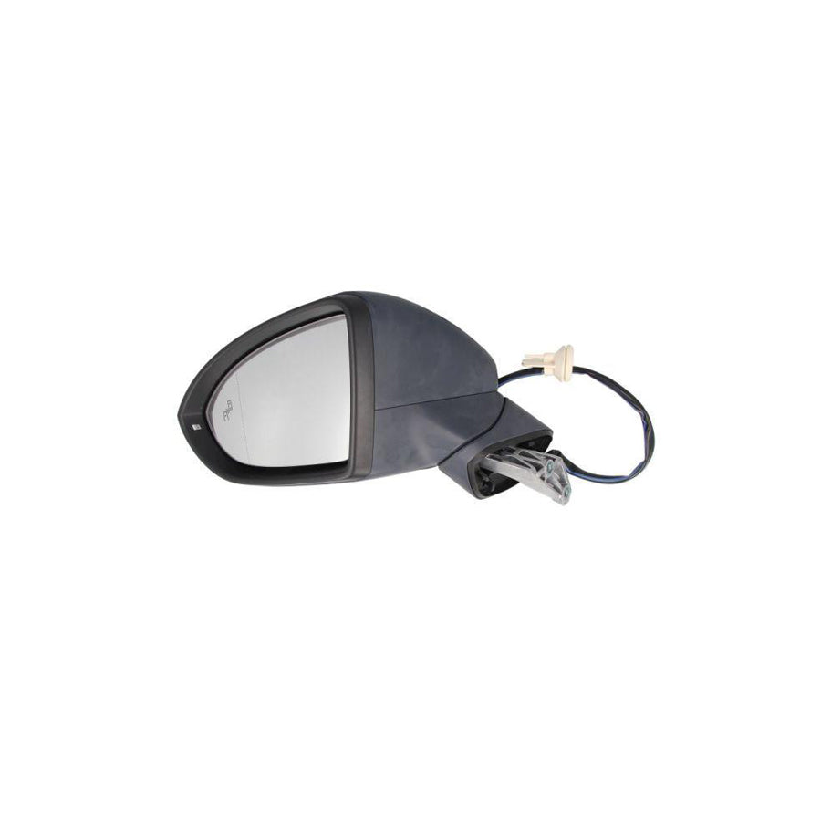Blic 5402-01-2002614P Wing Mirror For VW Golf Sportsvan (Am1, An1)