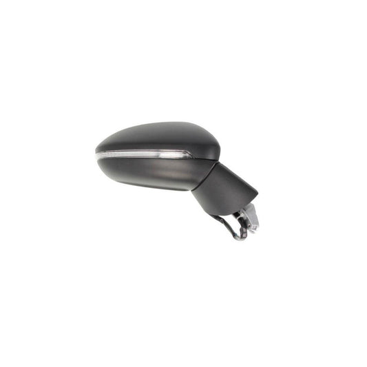 Blic 5402-01-2002612P Wing Mirror For VW Golf Sportsvan (Am1, An1)