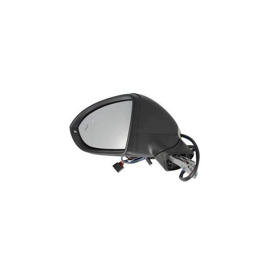 Blic 5402-01-2002607P Wing Mirror For VW Golf Sportsvan (Am1, An1)