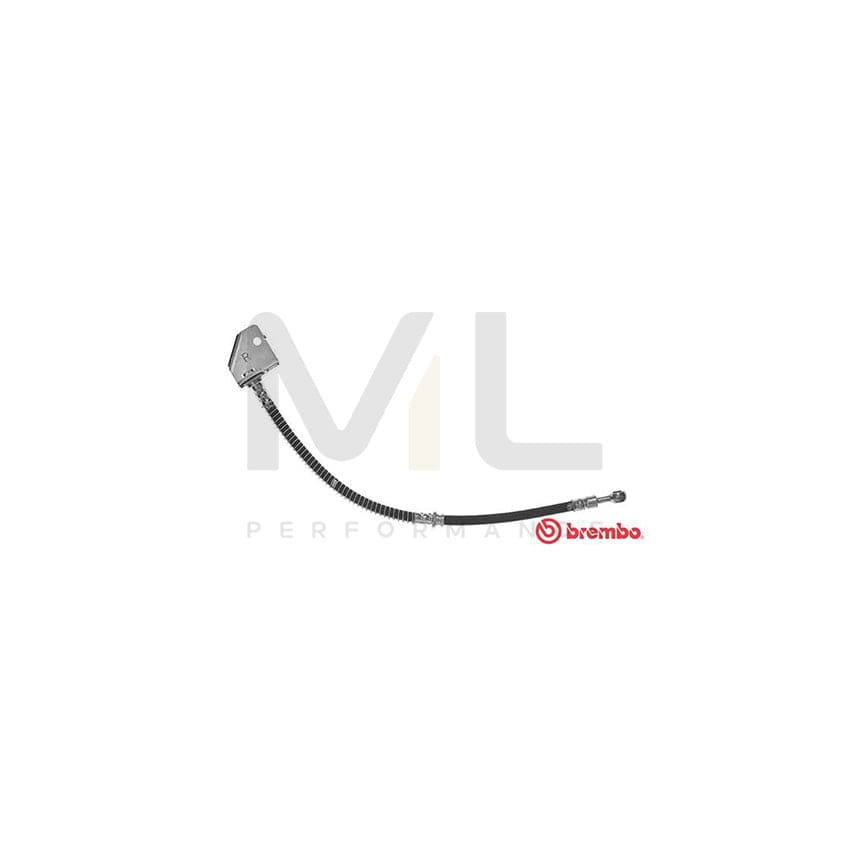 BREMBO T 24 121 Brake Hose 440mm, M10X1 | ML Performance Car Parts