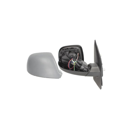 Blic 5402-01-2002666P Wing Mirror