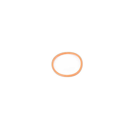 Genuine BMW 11657850066 F82 F87 O-Ring (Inc. M4 GTS, M4 CS & M3) | ML Performance UK Car Parts