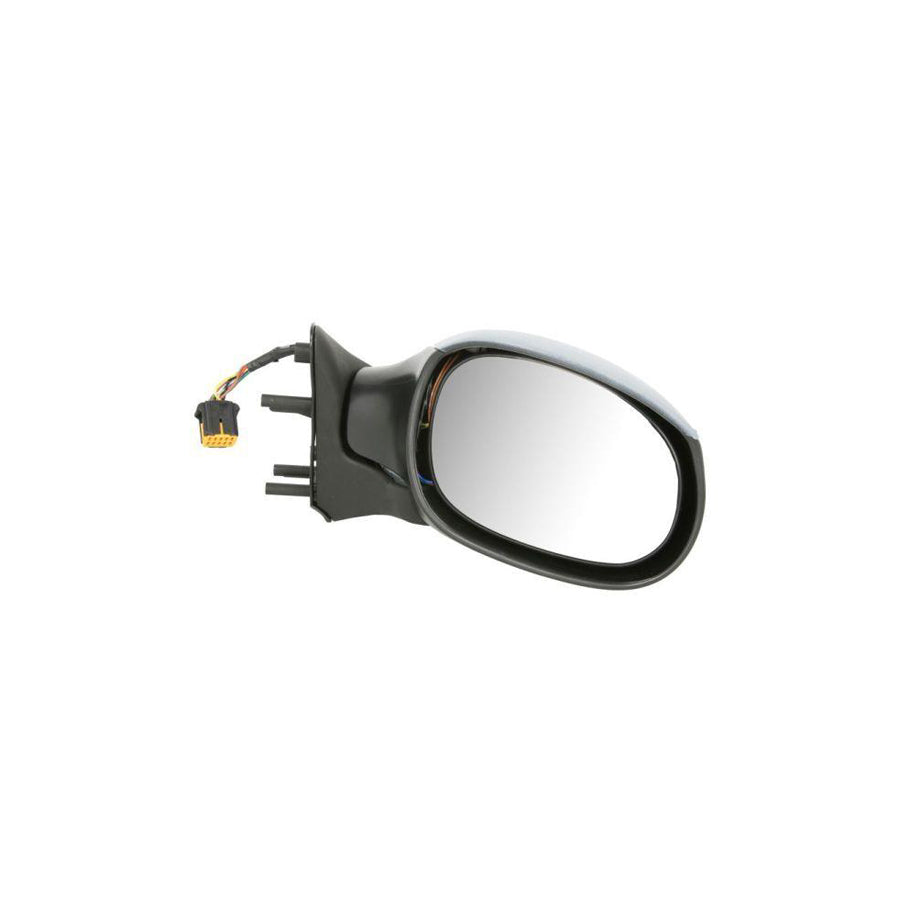 Blic 5402-04-1122339P Wing Mirror For Citroen Xsara Picasso (N68)
