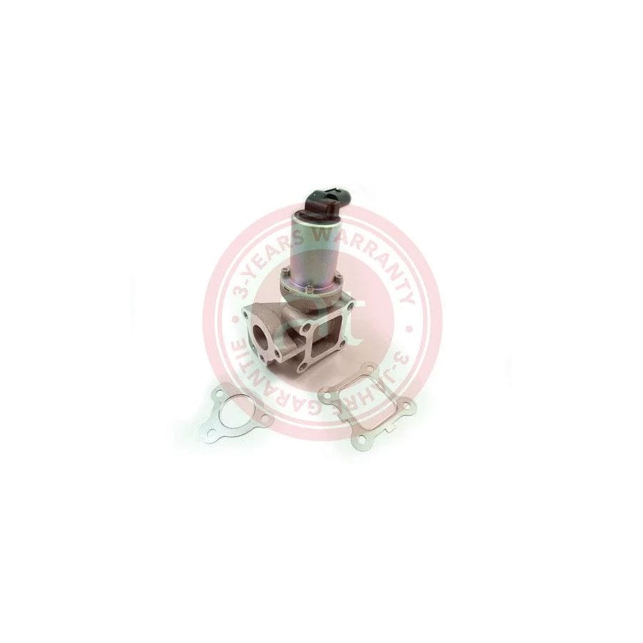 At Autoteile Germany at22393 Egr Valve For Hyundai H-1 / Iload Cargo (Tq)