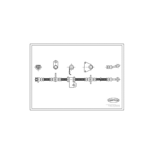 Corteco 19032899 Brake Hose | ML Performance UK