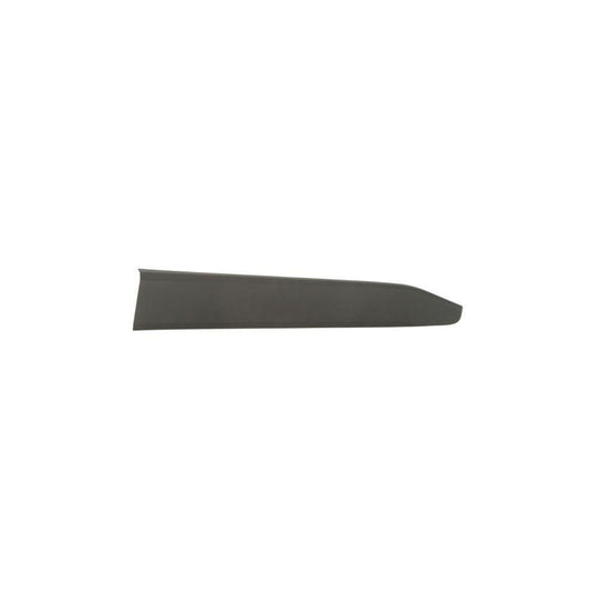 Blic 5703-04-8182572P Door Molding For Toyota C-Hr (Ax10)