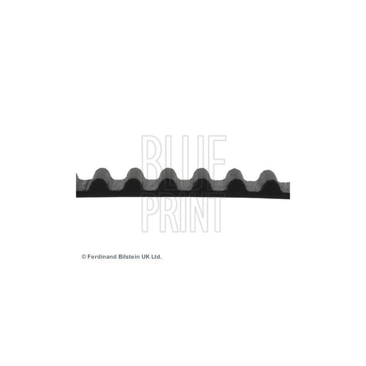 Blue Print ADH27518 Timing Belt
