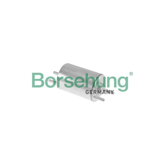 Borsehung B10479 Fuel Filter
