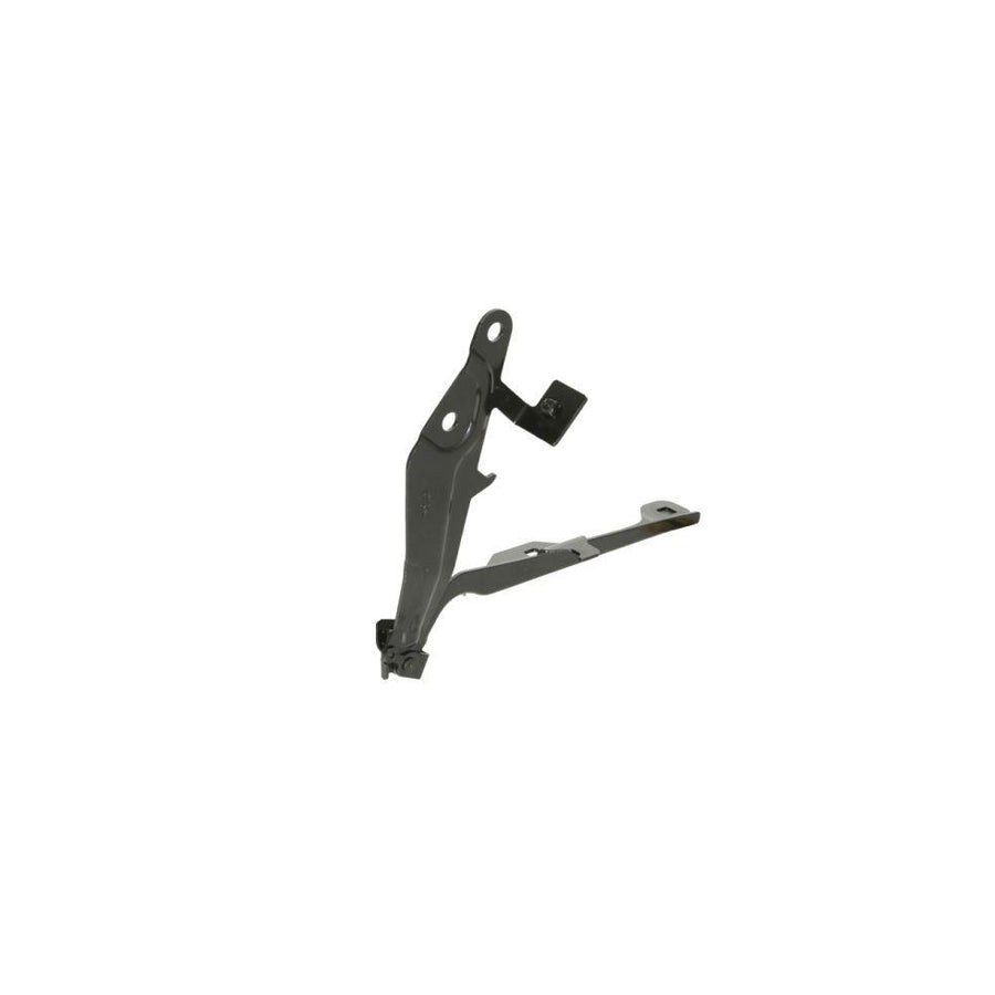 Blic 6802-00-2589451P Hinge, Bonnet For Ford Usa Mustang Mach-E