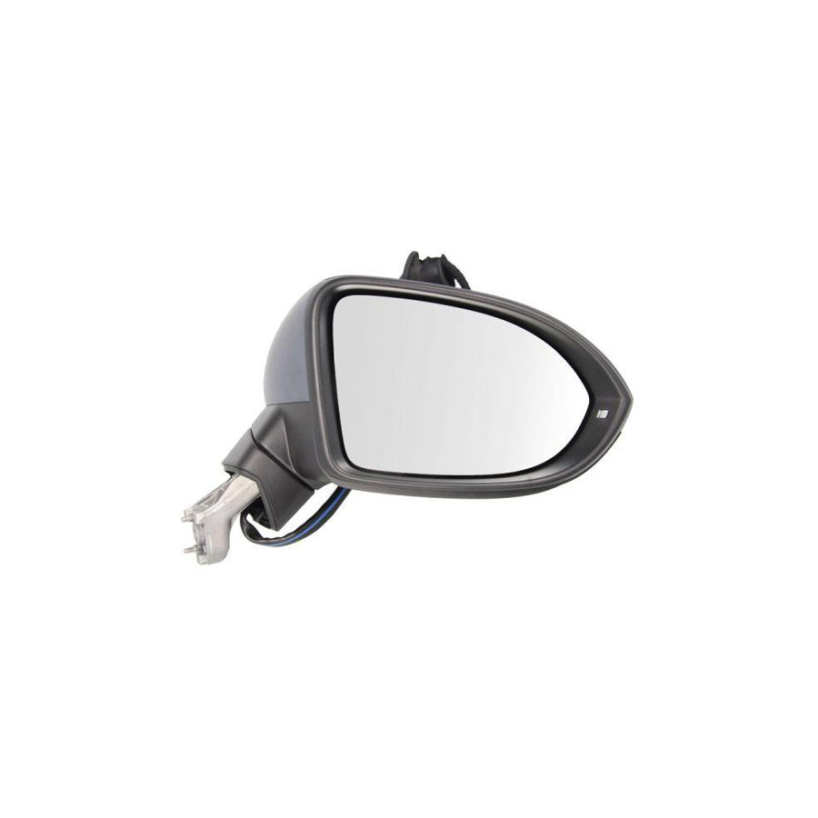Blic 5402-01-2002682P Wing Mirror