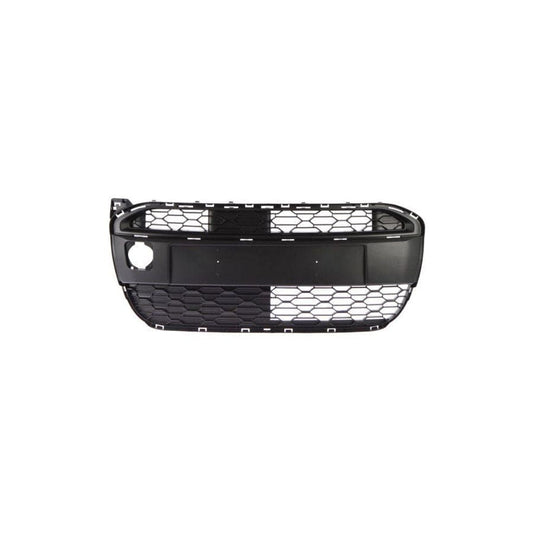 Blic 6502-07-0502910P Bumper Grill For Citroen C1 I