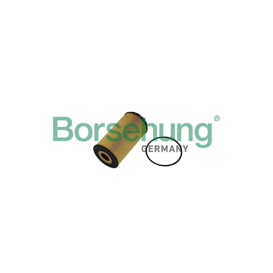 Borsehung B10518 Oil Filter