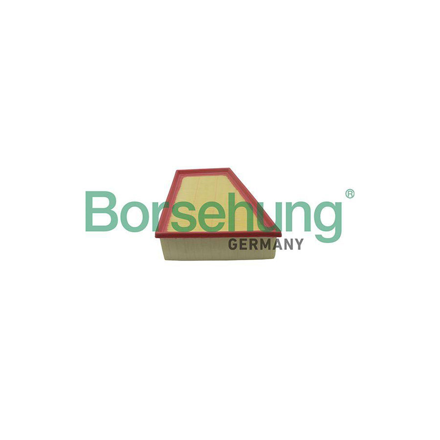 Borsehung B10512 Air Filter