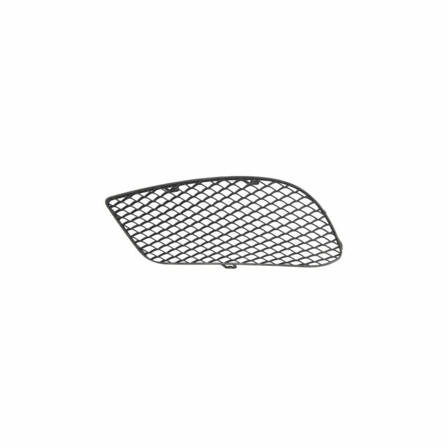 Blic 5513-00-3529913P Bumper Grill Suitable For Mercedes-Benz E-Class