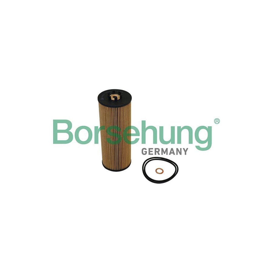 Borsehung B10544 Oil Filter