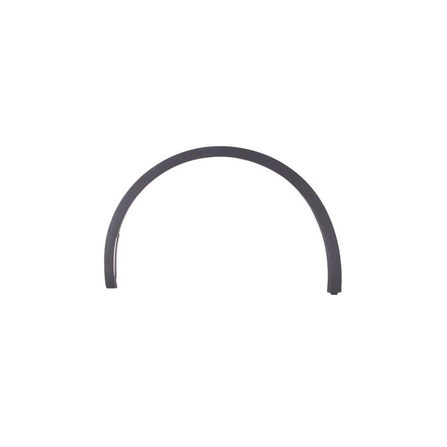 Blic 5703-08-7706371P Trim / Protective Strip, Mudguard