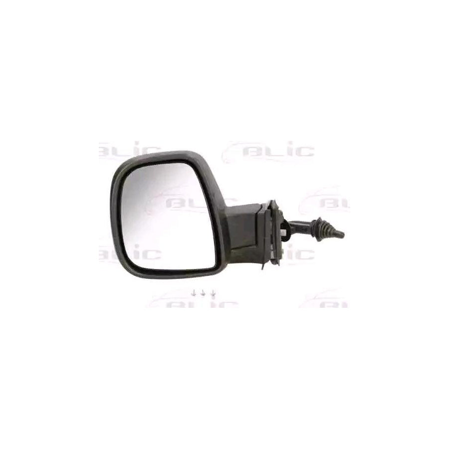 Blic 5402-04-9212991P Wing Mirror