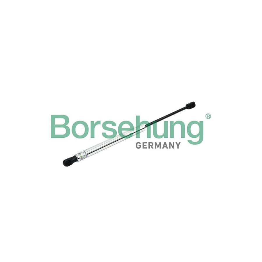 Borsehung B18450 Tailgate Strut For Audi A8 D3 (4E2, 4E8)