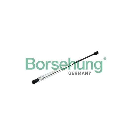 Borsehung B18450 Tailgate Strut For Audi A8 D3 (4E2, 4E8)